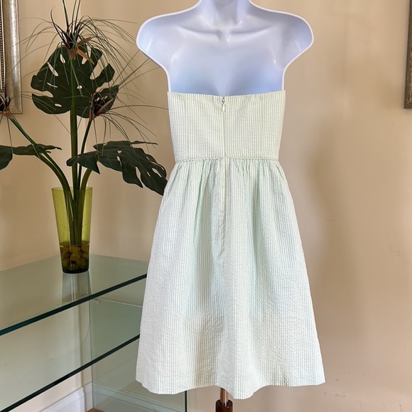 J. Crew Gingham Dress - Picture 4 of 13